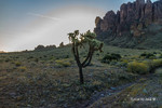 photo thumbnail #2