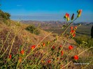 photo thumbnail #10