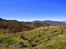 photo thumbnail #14