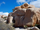 photo thumbnail #12