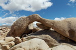 photo thumbnail #13