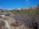 photo thumbnail #8