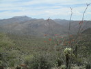 photo thumbnail #3