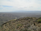 photo thumbnail #4