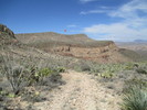 photo thumbnail #8