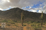 photo thumbnail #1