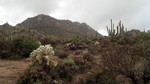 photo thumbnail #9