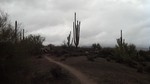 photo thumbnail #13