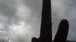photo thumbnail #15