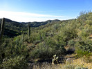 photo thumbnail #4
