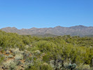 photo thumbnail #6