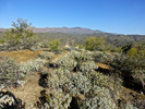 photo thumbnail #7