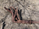 photo thumbnail #2