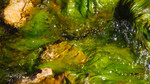 photo thumbnail #15
