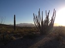photo thumbnail #4