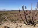 photo thumbnail #12