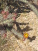 photo thumbnail #12