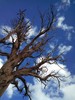photo thumbnail #10