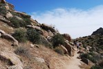 photo thumbnail #8