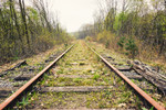 photo thumbnail #8