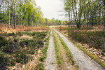 photo thumbnail #9