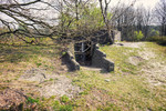 photo thumbnail #11