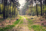 photo thumbnail #13