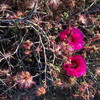 photo thumbnail #7