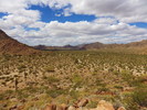 photo thumbnail #10