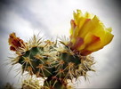 photo thumbnail #5