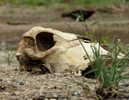 photo thumbnail #3