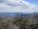 photo thumbnail #9