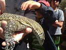 photo thumbnail #6
