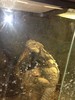 photo thumbnail #15
