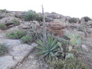 photo thumbnail #11