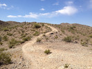 photo thumbnail #5