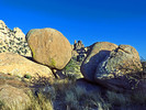 photo thumbnail #5