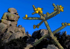 photo thumbnail #6