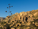 photo thumbnail #9