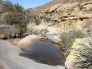 photo thumbnail #7