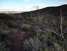 photo thumbnail #10
