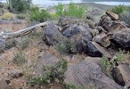photo thumbnail #9