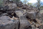 photo thumbnail #13
