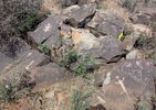 photo thumbnail #6