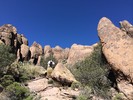 photo thumbnail #3