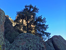 photo thumbnail #8