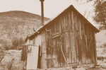 photo thumbnail #13
