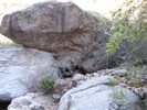 photo thumbnail #6