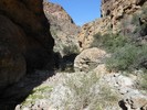 photo thumbnail #8
