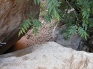 photo thumbnail #11